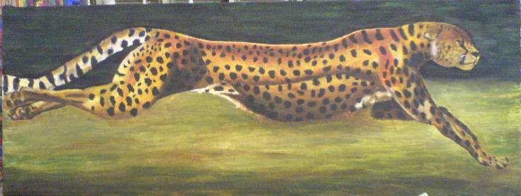 Gepard